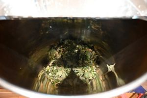 Looking down into the bottom of a large, deep tank. The bottom is filled with steeping sassafras leaves.