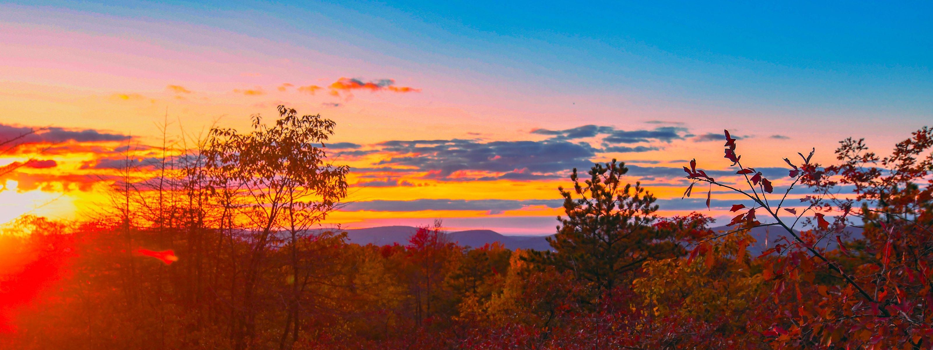 A sun sets over a forest creating an orange glow against a pink and blue sky.