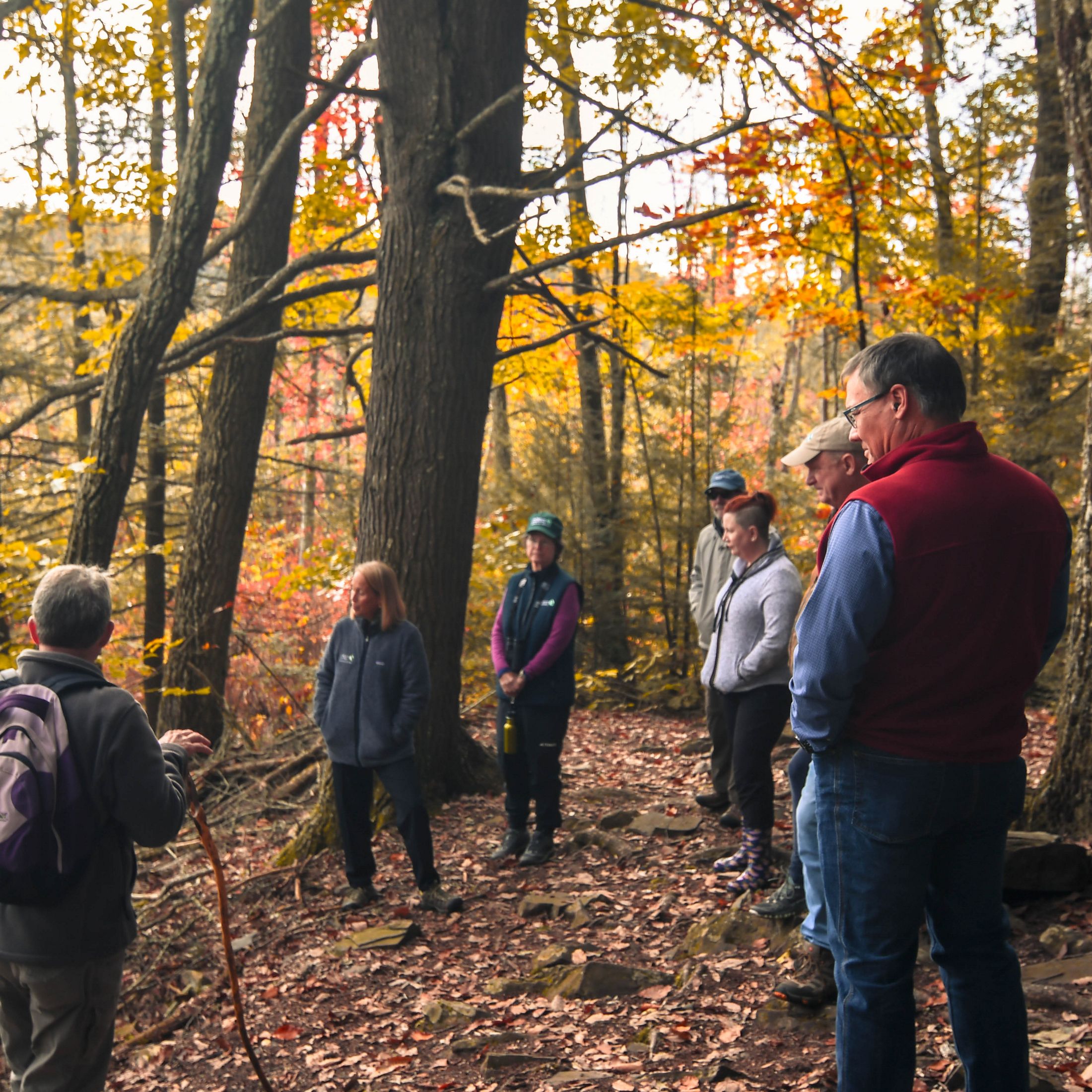 Several people stand in the middle of a forest surrounded by fall foliage, looking off into the distance. 