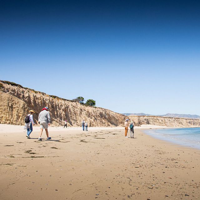 Legacy Club members exploring the coast at Jack and Laura Dangermond Preserve, California.