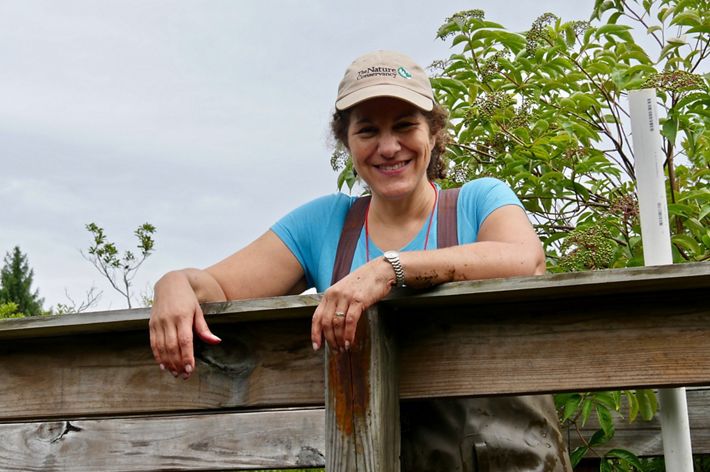 Deborah Landau headshot.