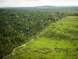  El desafío de las políticas públicas para mantener la Amazonía