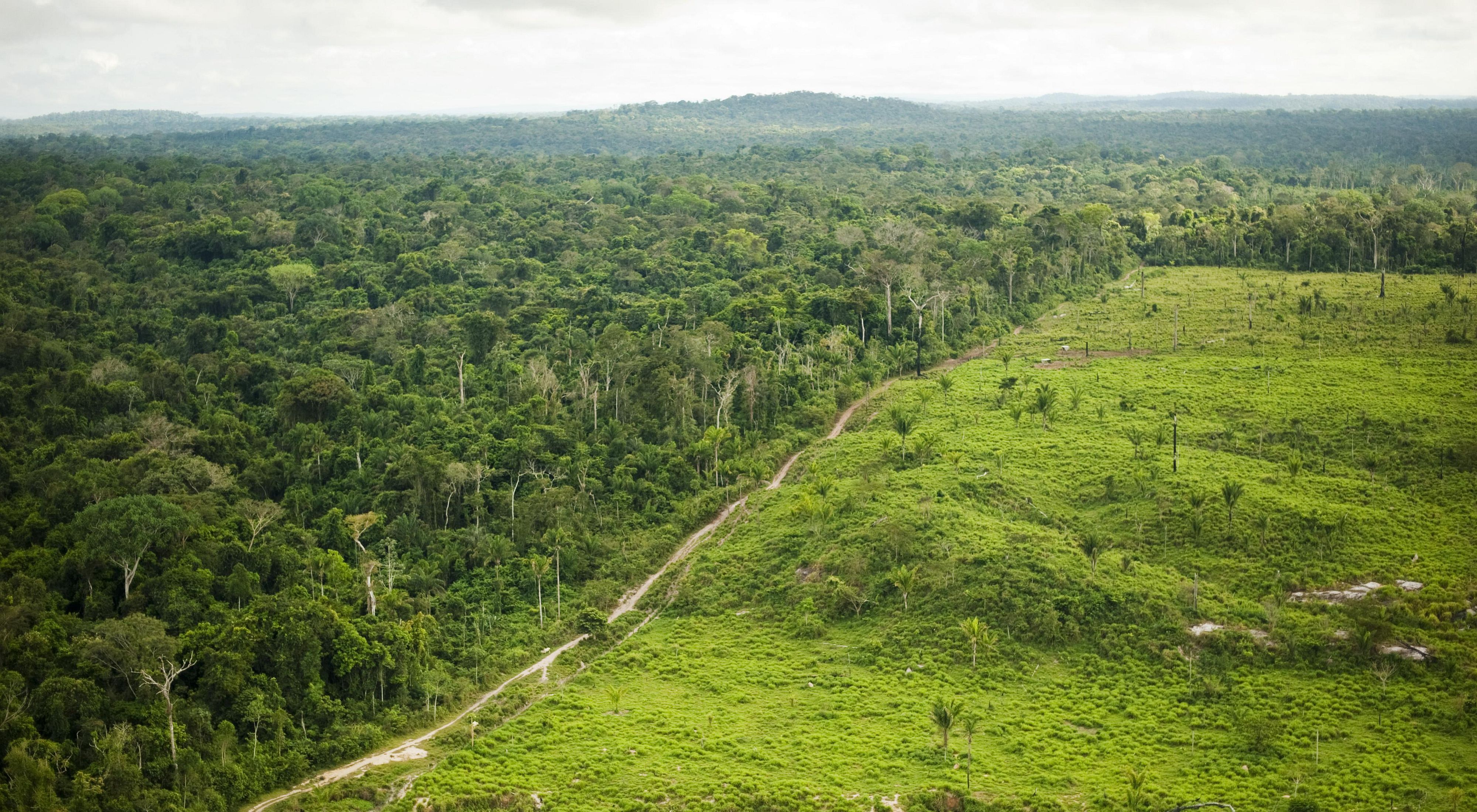 An aerial view showing deforestation for cattle ranching at São Félix do Xingu, a municipality in the Brazilian Amazon, that has one of the highest rates of deforestation in the country. Understanding that conversion to agriculture and cattle ranching is the greatest threat to the Amazon rainforest, the Conservancy works in strategic municipalities of the Brazilian Amazon such as São Félix do Xingu to implement strategies to control deforestation and promote the responsible production of soy and beef among farmers and ranchers. São Félix do Xingu is also one of the focal areas for the Conservancy's work on demonstrating how REDD programs can work on the ground.