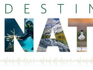A new podcast by The Nature Conservancy