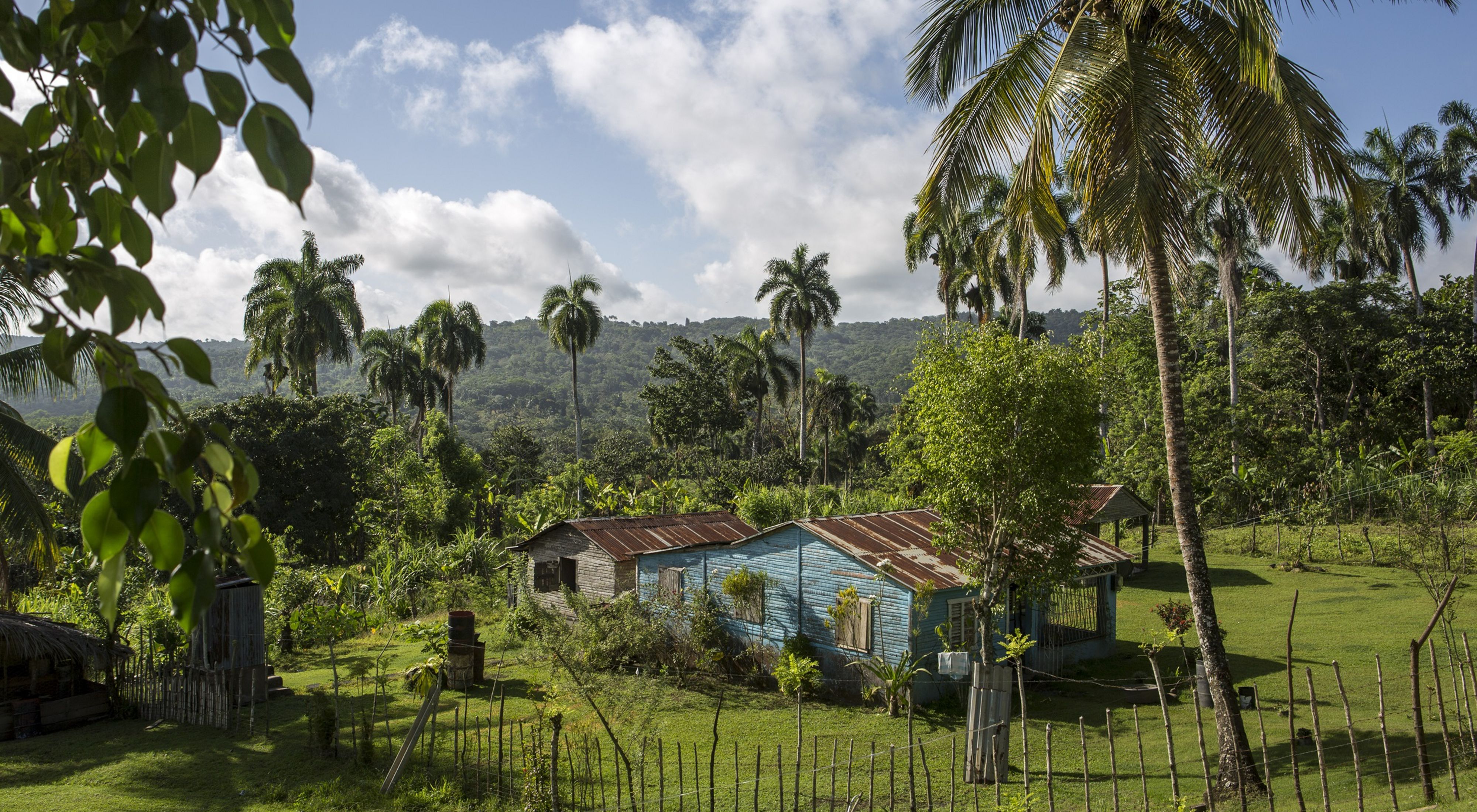 A farmhouse sits in the tropical countryside.