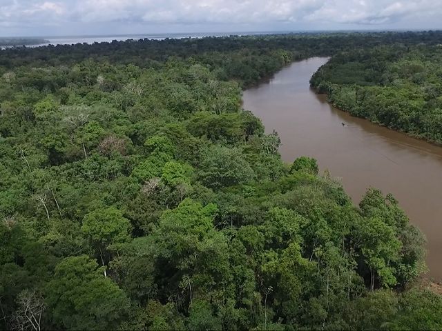 Dora la Exploradora recorre Latinoamérica: Perú. Foto de ríos de la Amazonía peruana.