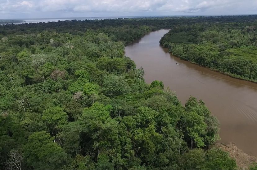 Dora la Exploradora recorre Latinoamérica: Perú. Foto de ríos de la Amazonía peruana.