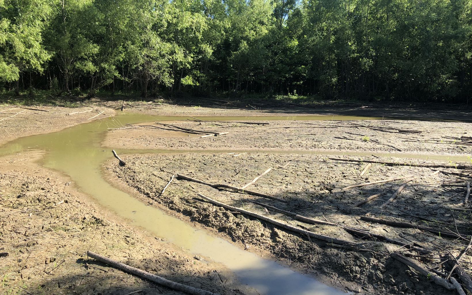 
                
                   Study samples were gathered from locations like this drying shallow water area on a restored wetland easement in Obion County, TN, part of the Mississippi River Basin.
                  
                
              