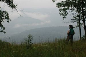 A person stands with their back to the camera looking over a misty overlook.