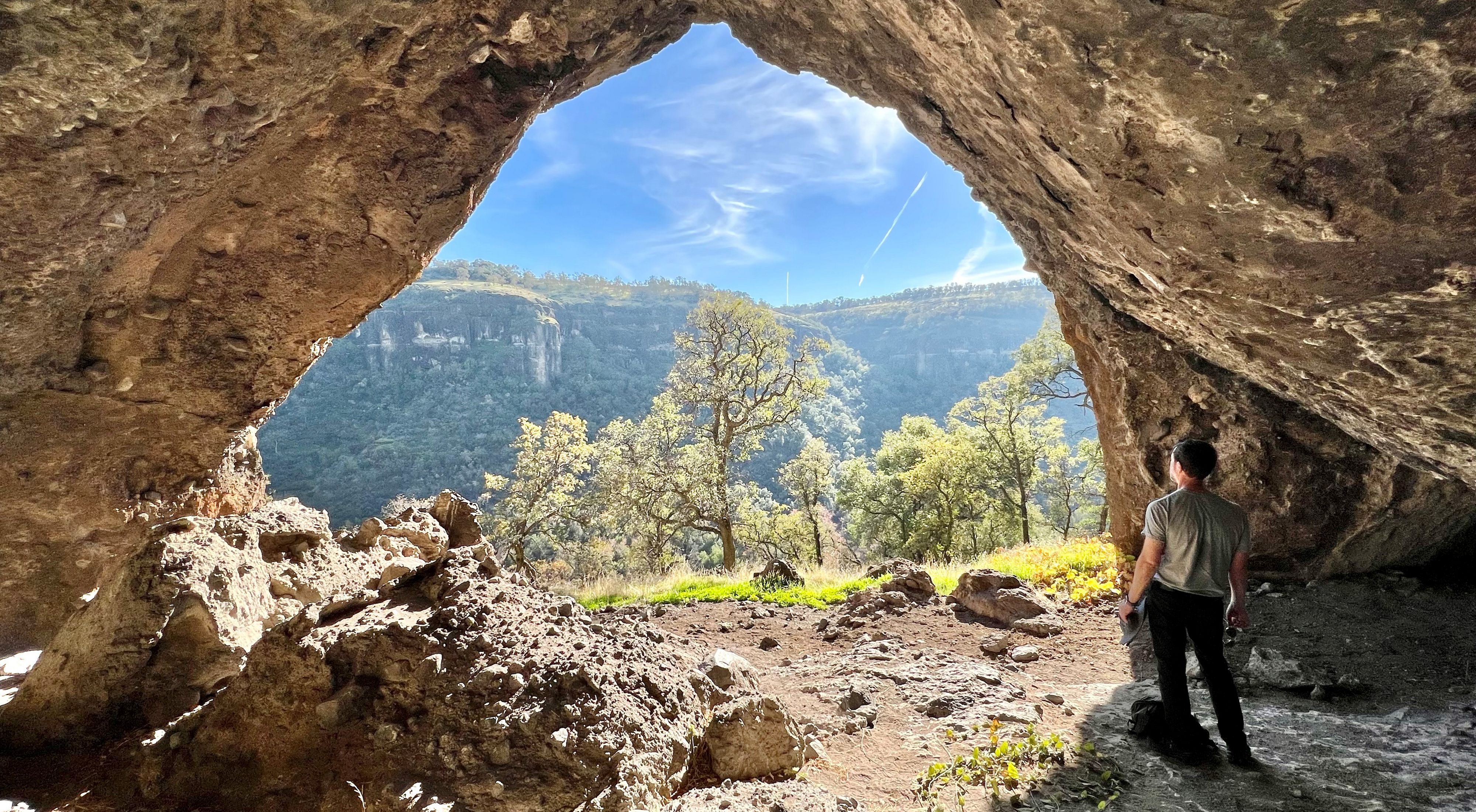 A person stands inside a rock overhang and looks out at a deep canyon at Dye Creek Preserve in California.