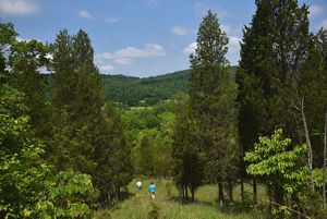 Two hikers walk among lush green trees that cover hills under a blue sky.
