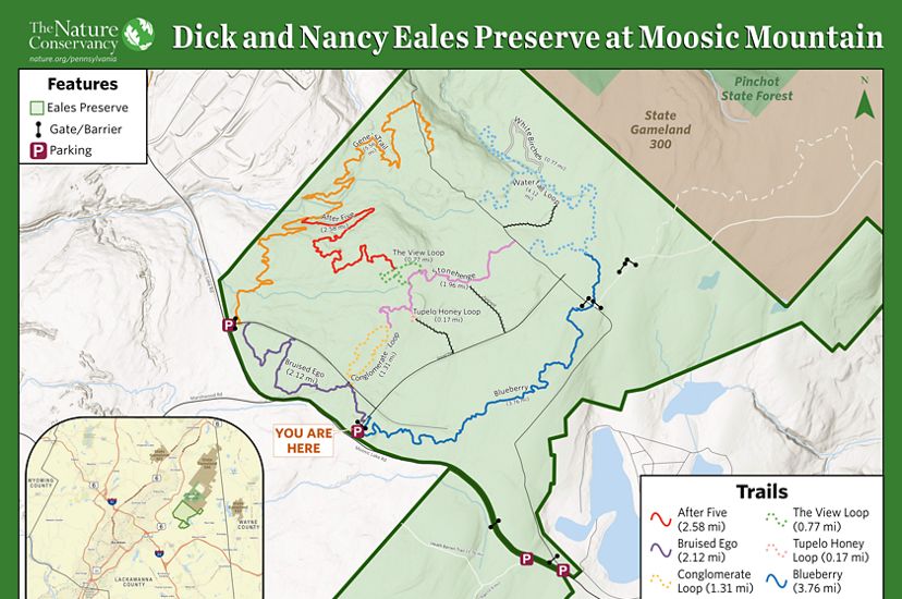 A map of Eales preserve trails.