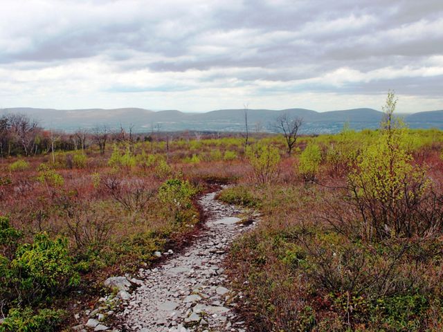 A gravel path winds through a barrens landscape of scrubby plants. A mountain ridge extends across the horizon. Thick clouds hang heavy over the landscape. 