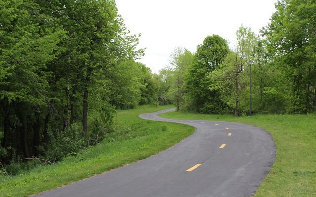 Paved bike trail winding through a wooded area of Elm Creek Park Reserve.