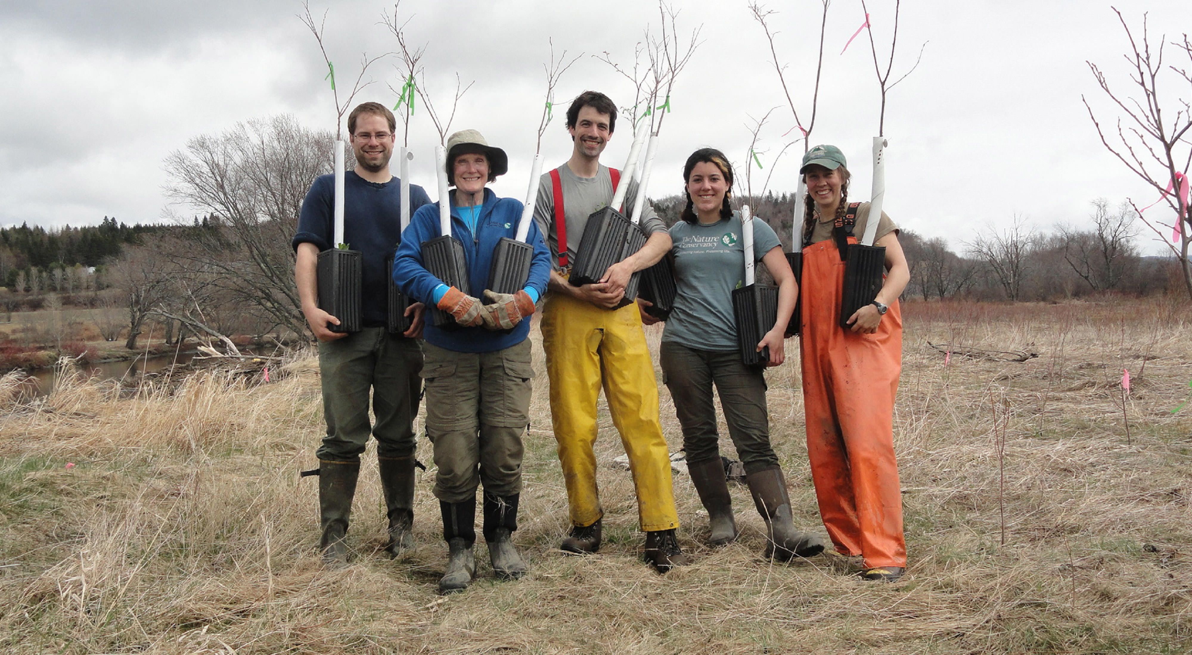 TNC staff with American elm seedlings.