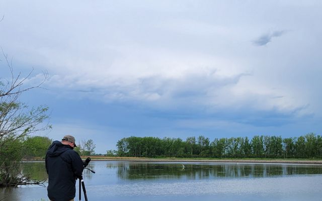 A person trains their camera on the still waters of Erie Marsh on a cloudy day. 