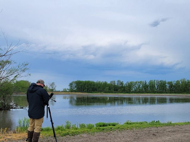 A person trains their camera on the still waters of Erie Marsh on a cloudy day.