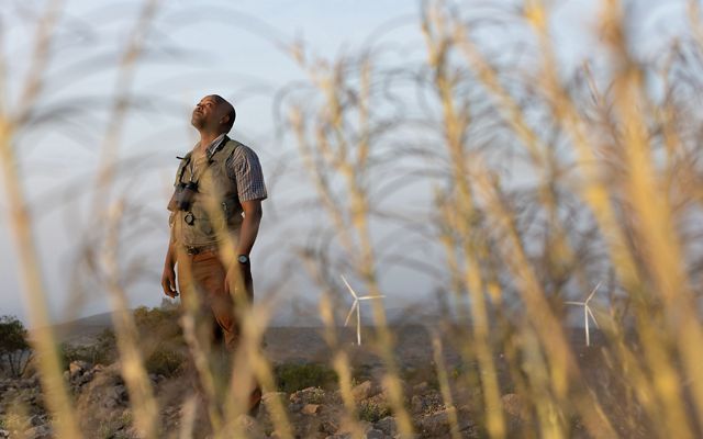 A man stands in a landscape and looks up toward the sky; he wears binoculars around his neck, and there are tall golden plants in the foreground.