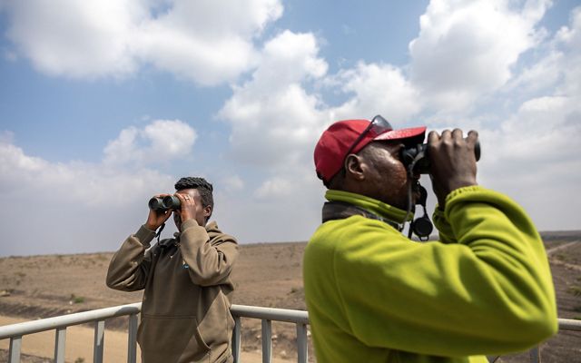 Two bird observers on a tower looking through binoculars.