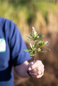A trainer shows a sprig of titi during ConX