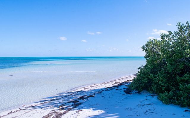 The shoreline of a key with white sand, calm and clear waters, and vegetation.