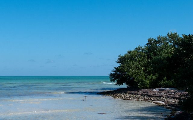 A calm rocky cove with vegetation to the right looks out to breaking waves in the Florida Keys.