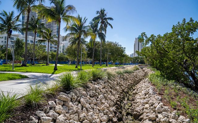Looking along the Brittany Bay Park Living Shoreline in Miami Beach.