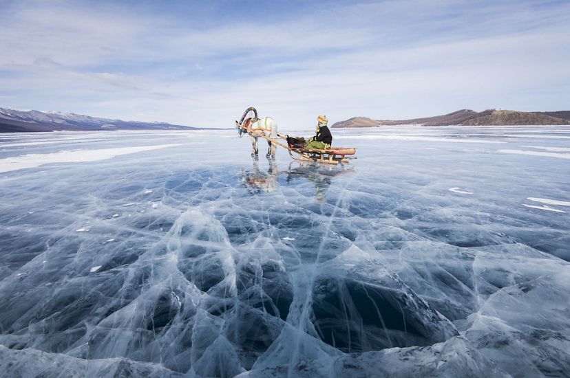 A reindeer pulls a sled on Mongolia’s massive Lake Hövsgöl