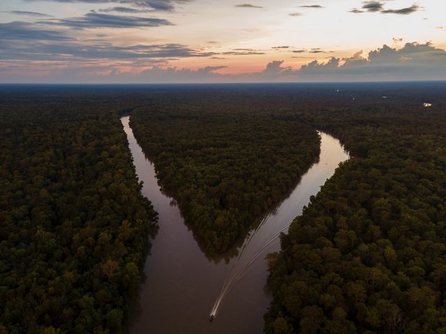 An aerial view of the Atchafalaya River at sunset looks like shining V surrounded by forest.