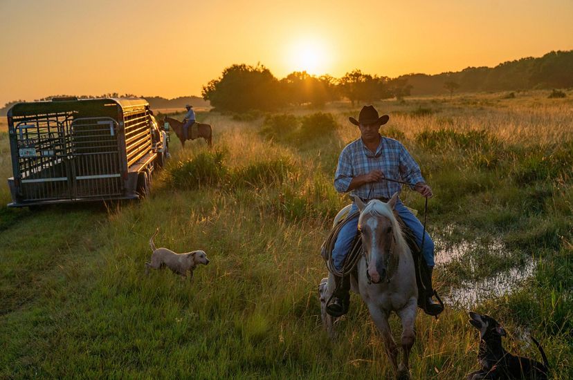 Jinetes a caballo en ranchland