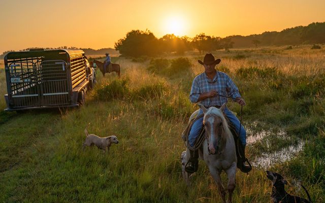 Jinetes a caballo en ranchland