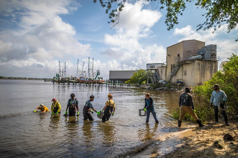Members of GulfCorps create a living shoreline that will become a home to oysters and other water creatures along the last natural shoreline in Biloxi, Mississippi.
