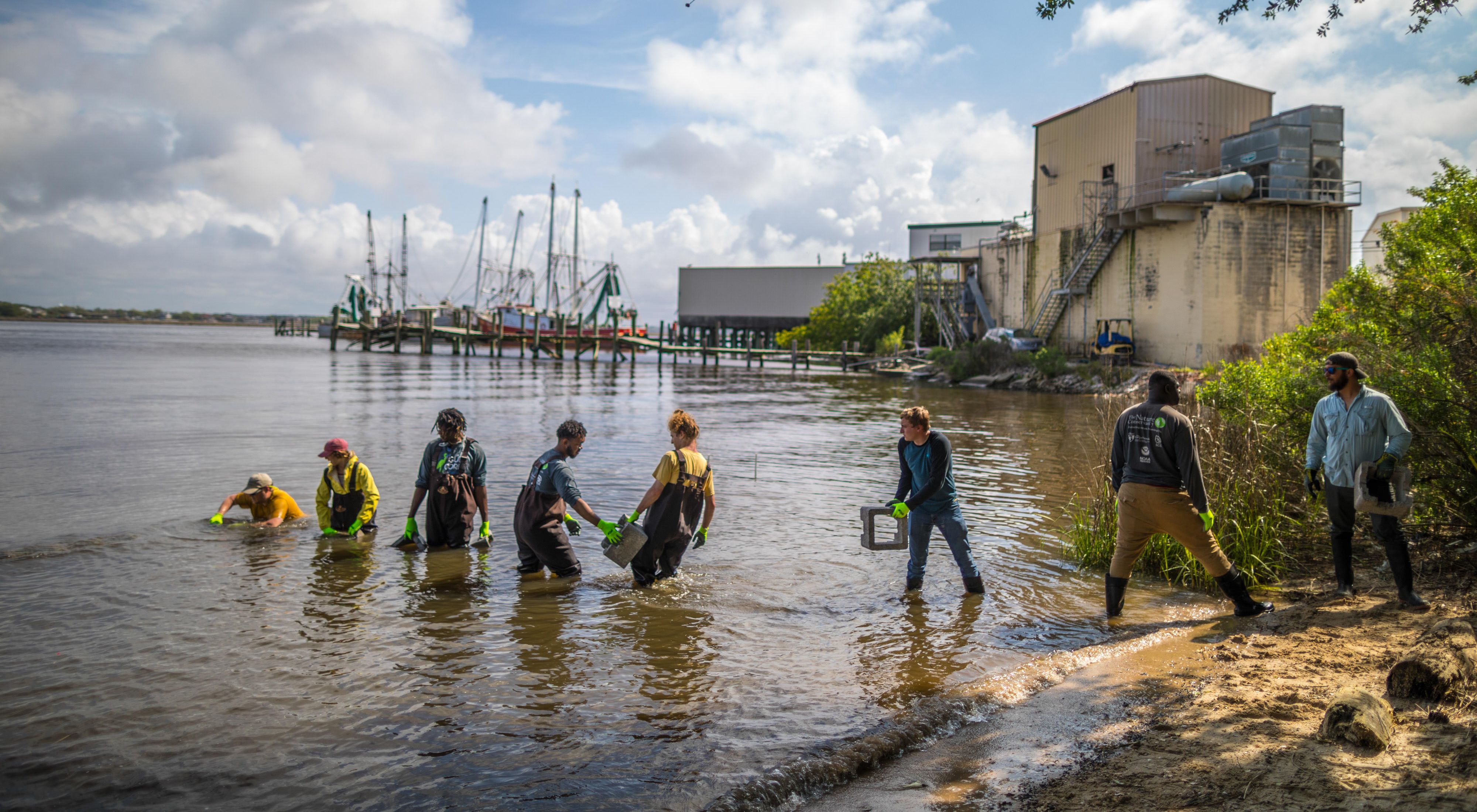 Members of GulfCorps create a living shoreline that will become a home to oysters and other water creatures along the last natural shoreline in Biloxi, Mississippi.
