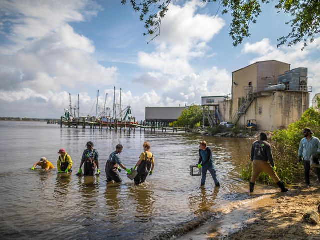 GulfCorps workers line up from the shore into the water, passing concrete blocks