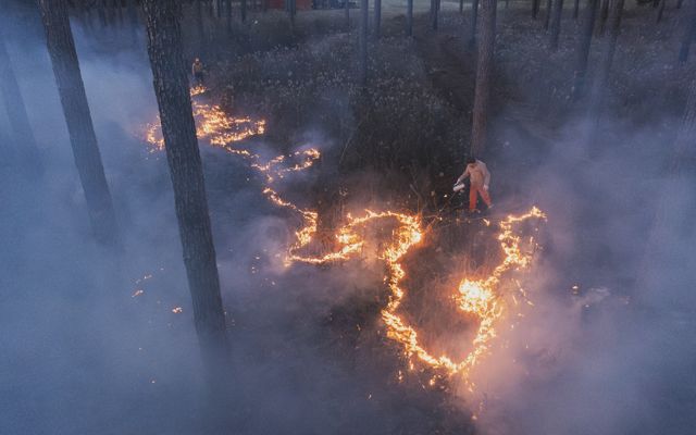Aerial image of man at twilight setting prescribed fire. 