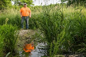 Farmer stands next to wetland adjacent to farm field.