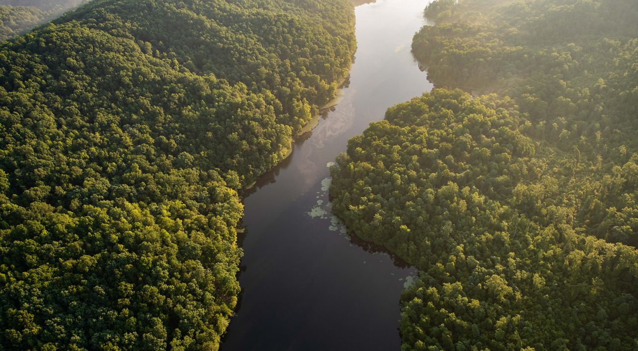A calm, narrow river flows through a dense green forest.