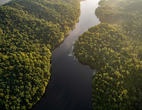 A calm river flows through a forested landscape.