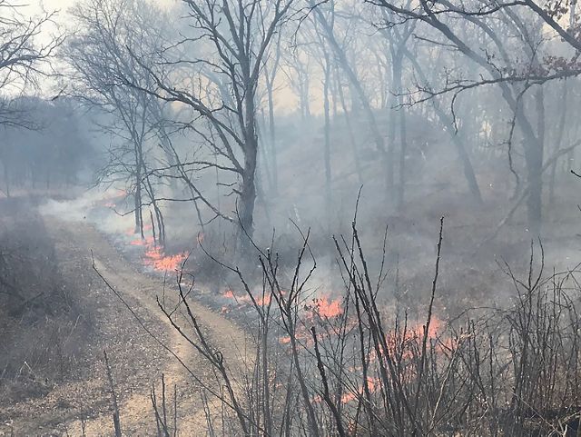A landscape during a prescribed burn with a path.