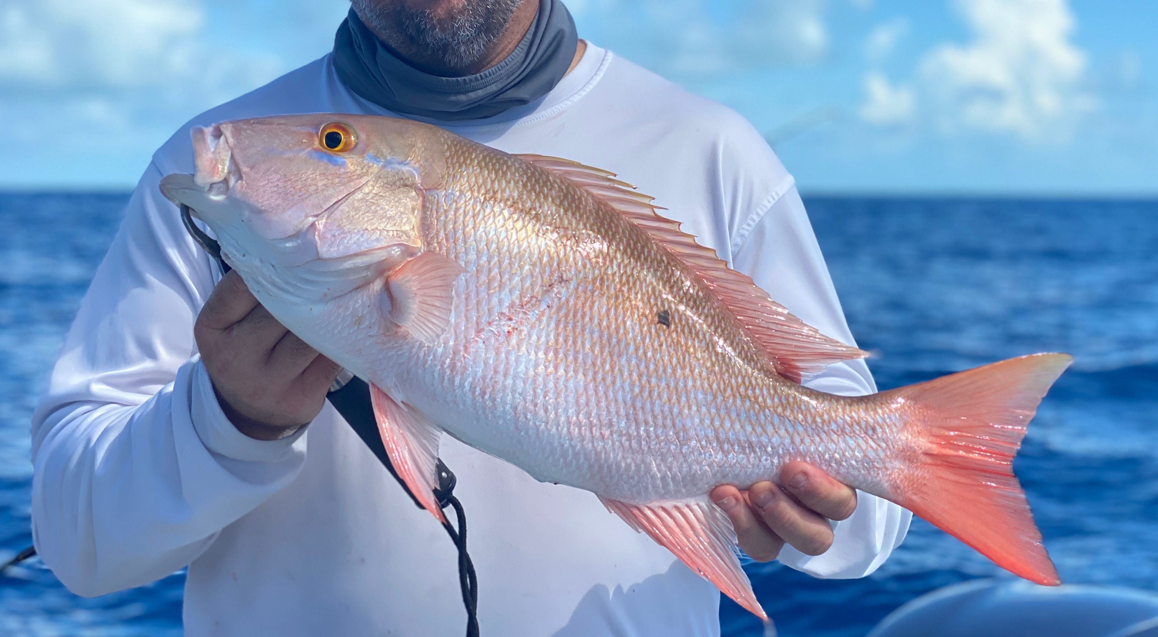 Fisherman on a boat holding up a pink and white mutton snapper fish.