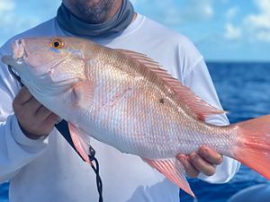 A fisherman holds a mutton snapper fish caught in the Florida Keys. 