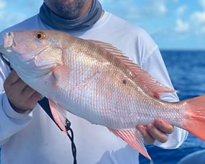 A fisherman holds a mutton snapper fish caught in the Florida Keys.