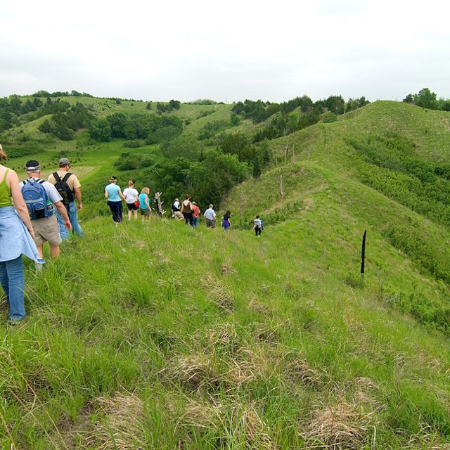 A large group of people hike across grassy hills.