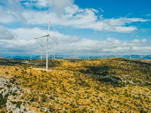 wind turbines dotting yellow rolling hills in Croatia