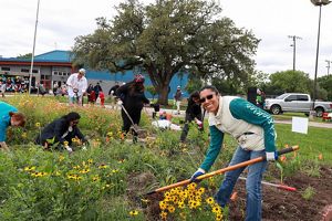 A group of volunteers holding gardening tools work on a park filled with flowers.