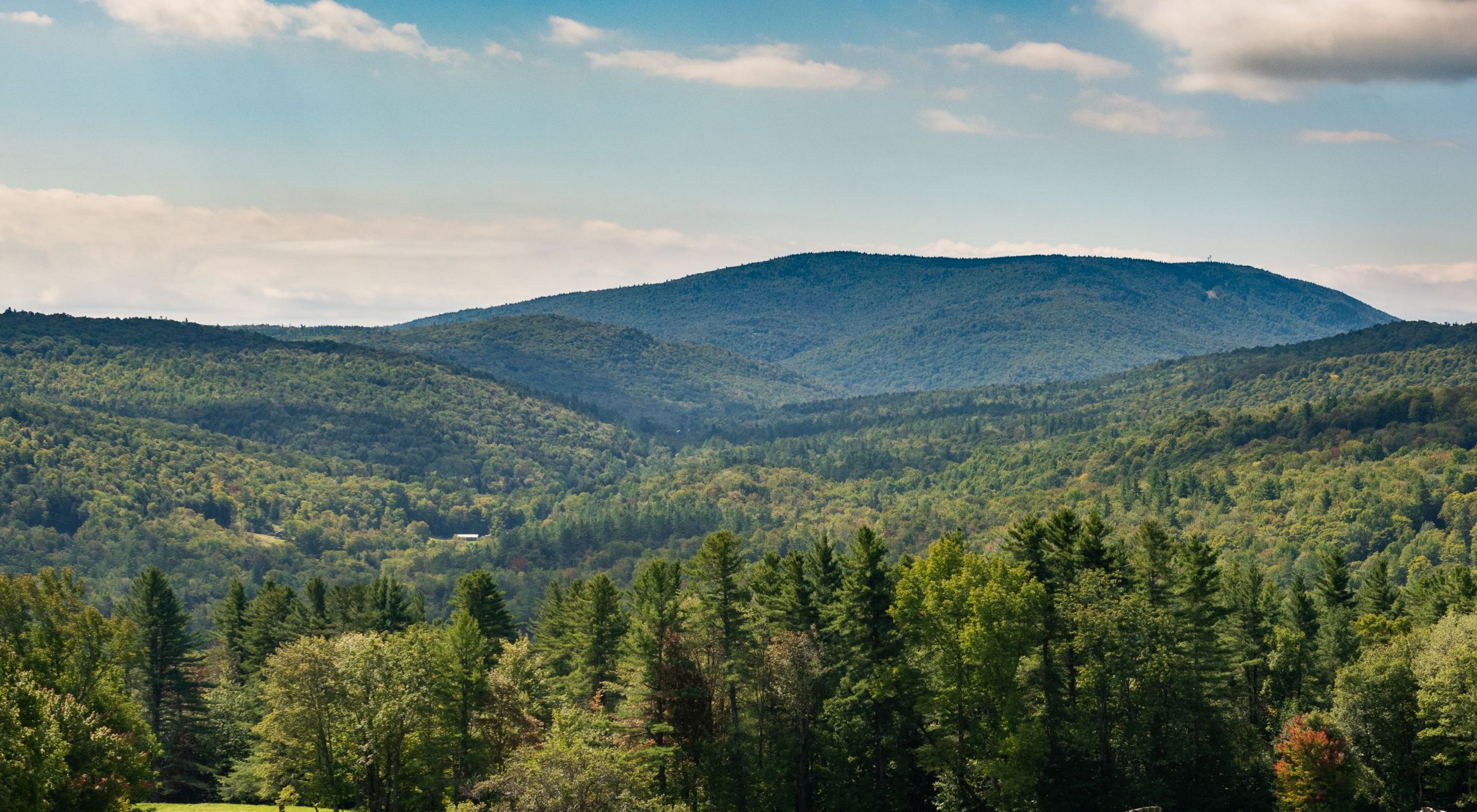 Glebe Mountain Landscape in Vermont.