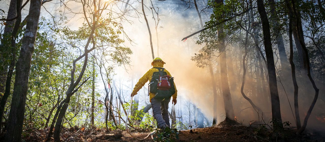 A firefighter in a smoky forest working on a controlled burn.