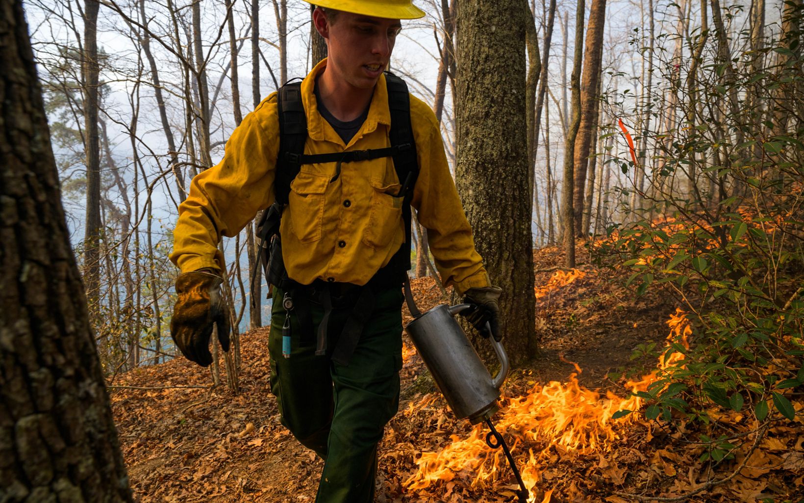 Hillside burn Austin Williams wields a drip torch in the North Saluda watershed. © Andrew Kornylak
