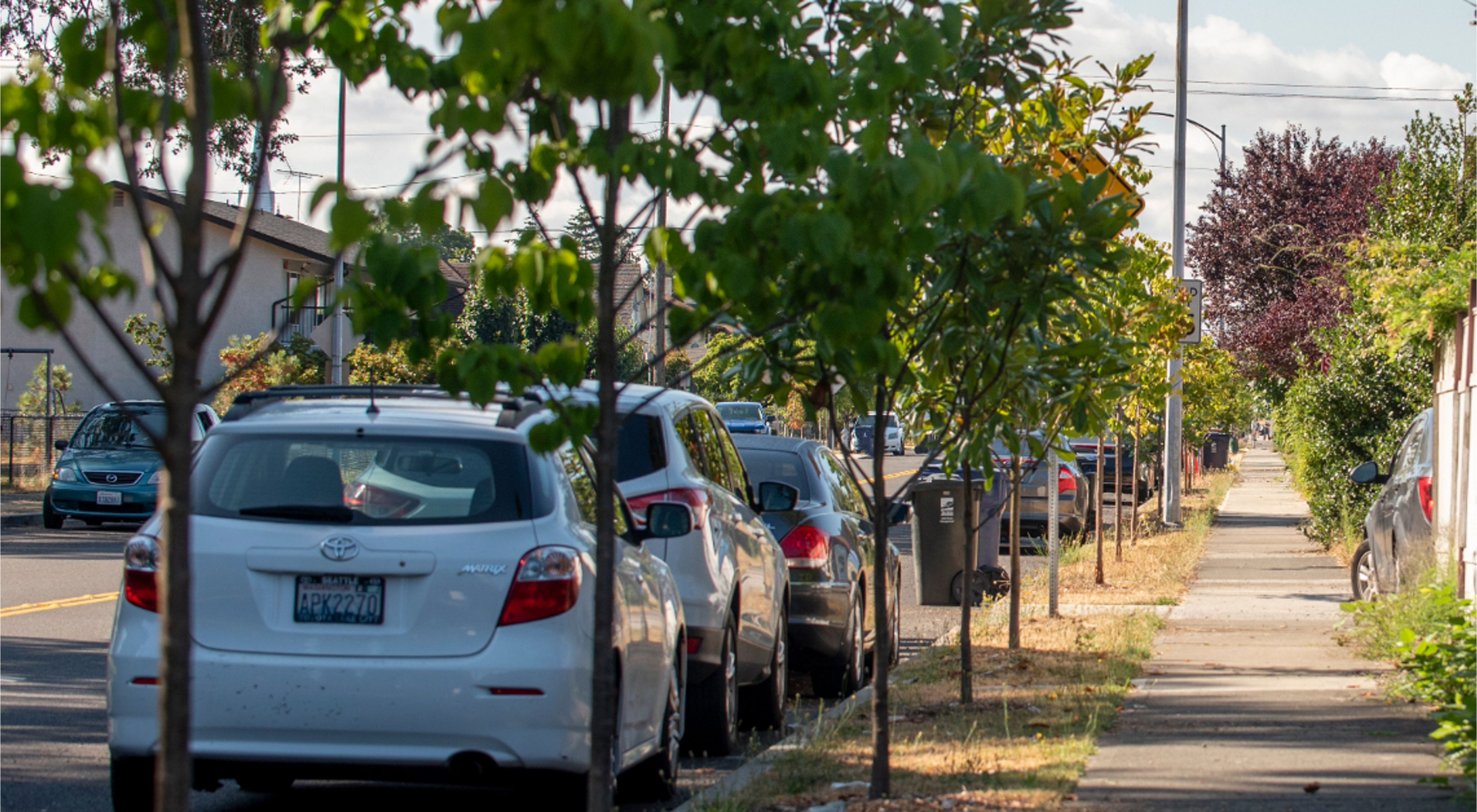 A row of cars parked along a city street lined with small trees. 