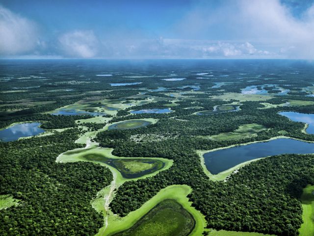 an aerial view of expansive green wetlands with blue lakes interspersed.